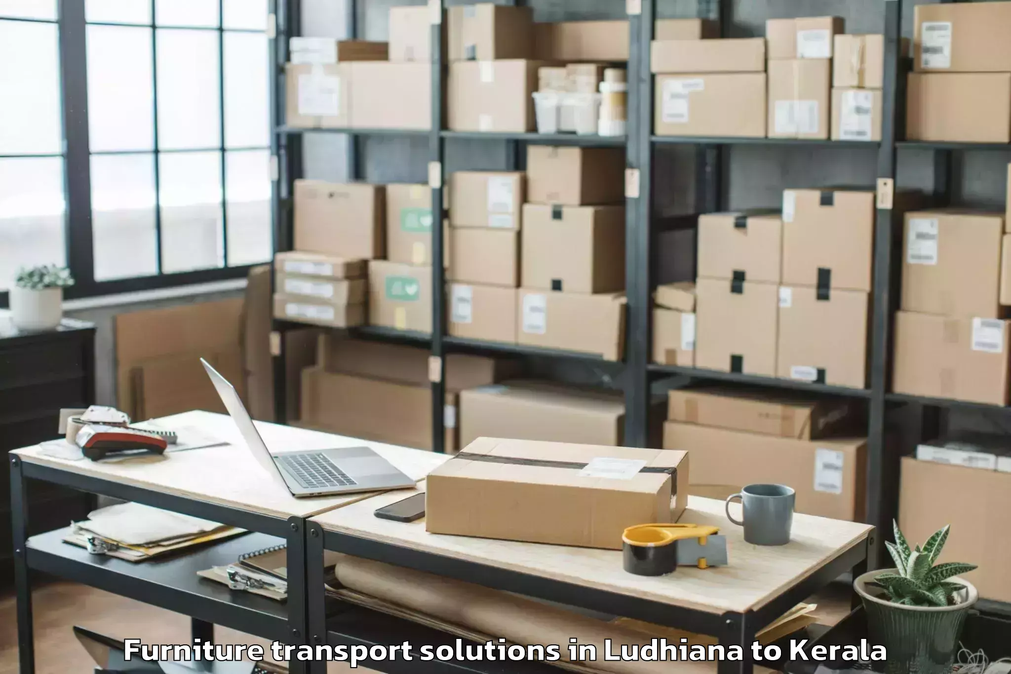 Trusted Ludhiana to Karthikappally Furniture Transport Solutions